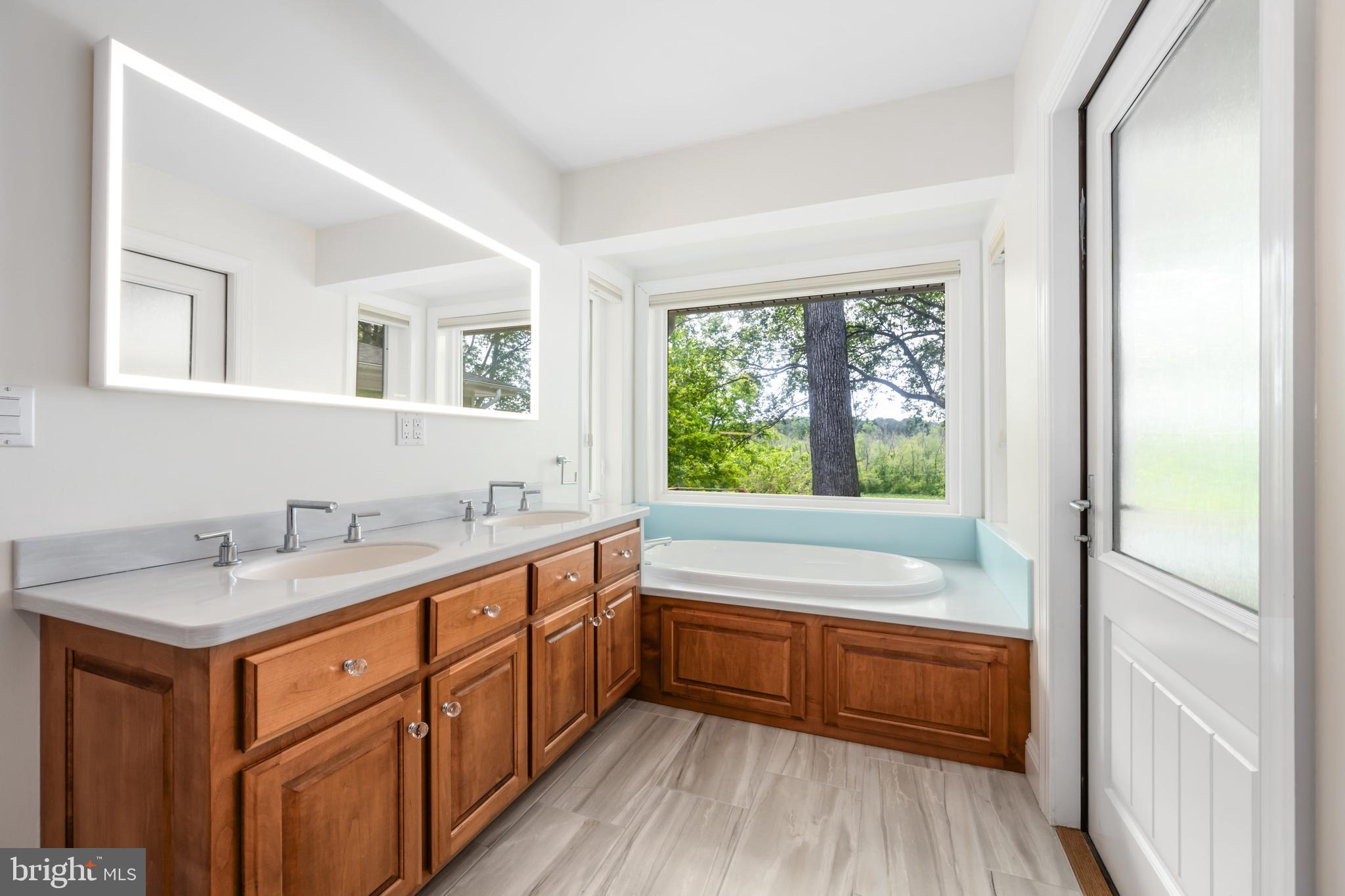 25292 Sandy Point Road Greensboro, MD 21639 - Photo 41 of 65 Primary bath with dual vanities & tub