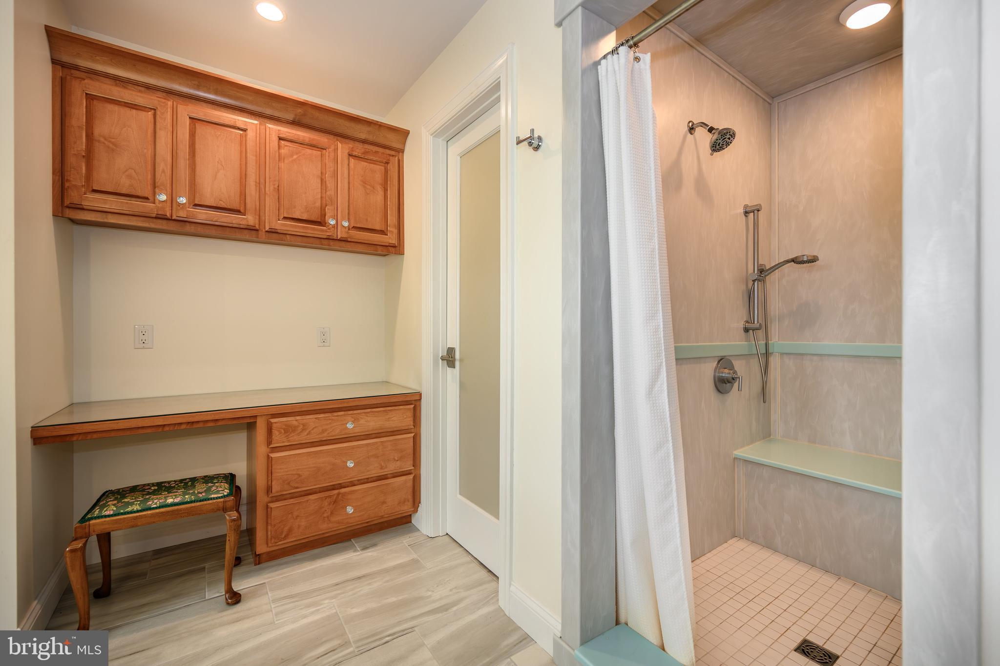 25292 Sandy Point Road Greensboro, MD 21639 - Photo 42 of 65 Primary bath walk in shower