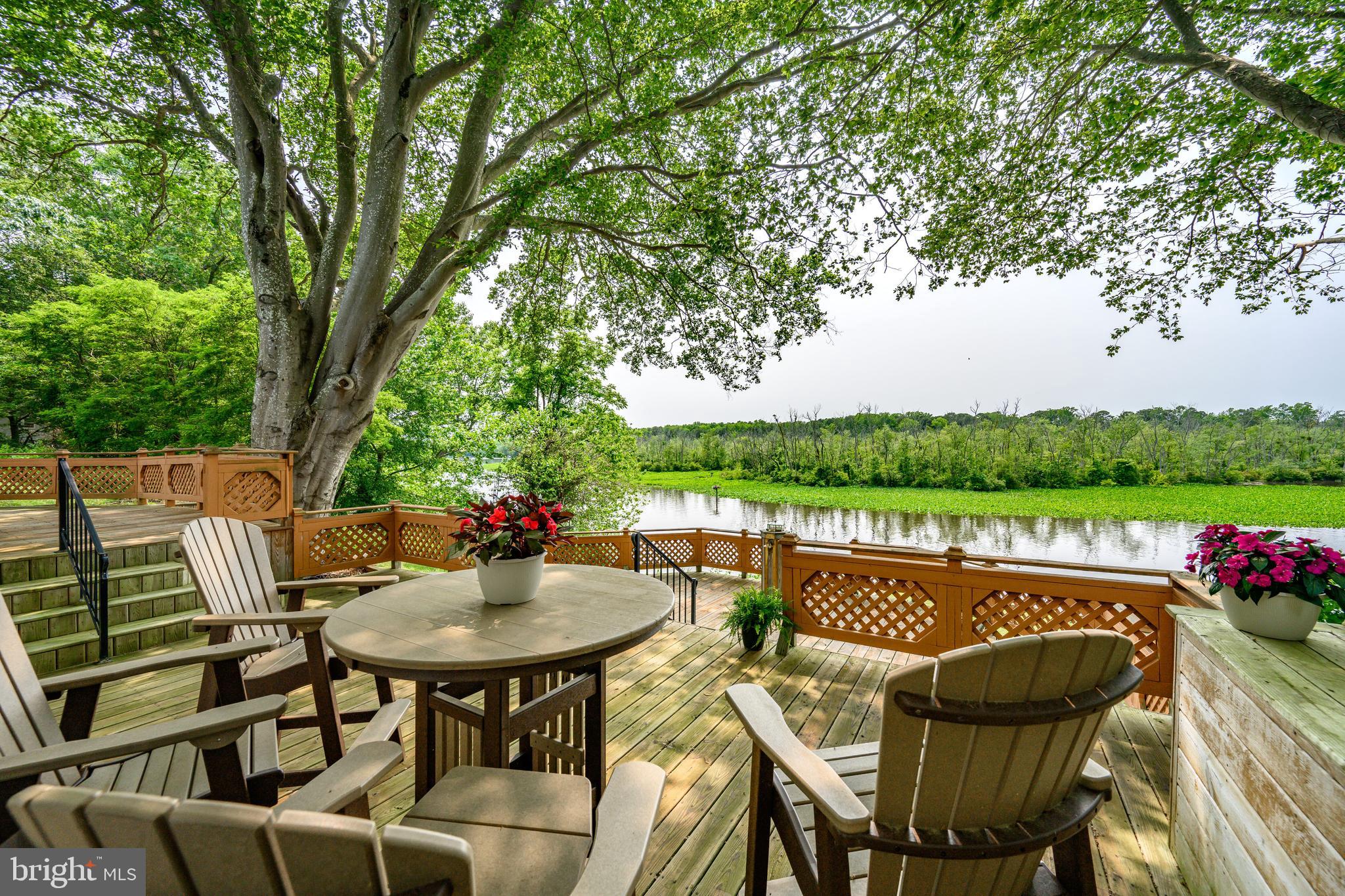 25292 Sandy Point Road Greensboro, MD 21639 - Photo 5 of 65 Rear Deck