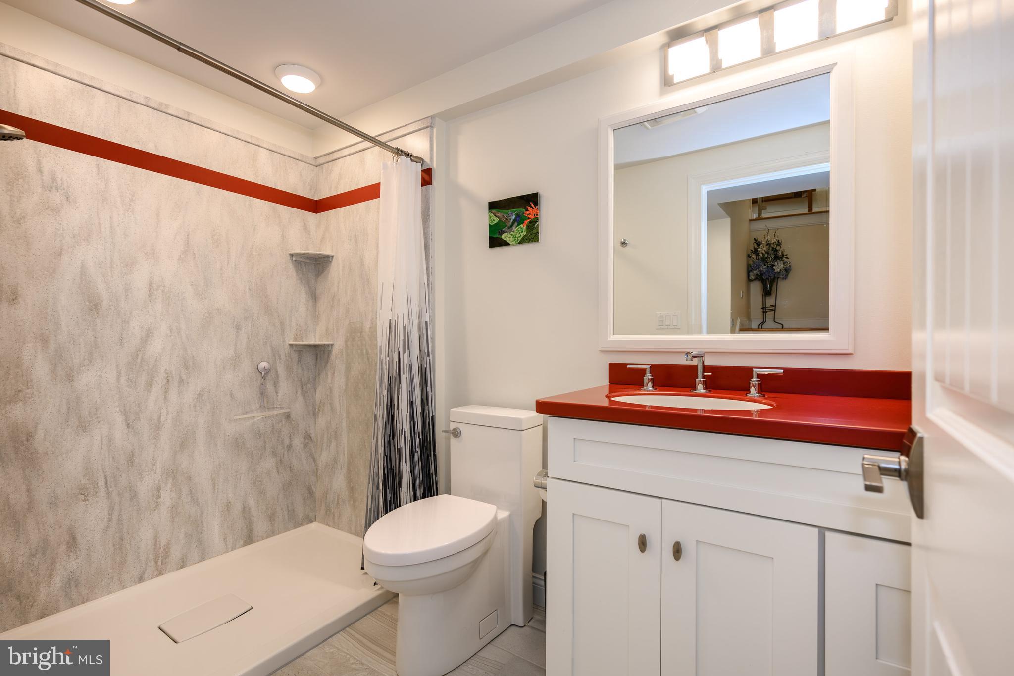 25292 Sandy Point Road Greensboro, MD 21639 - Photo 51 of 65 Lower level bath w/walk-in shower