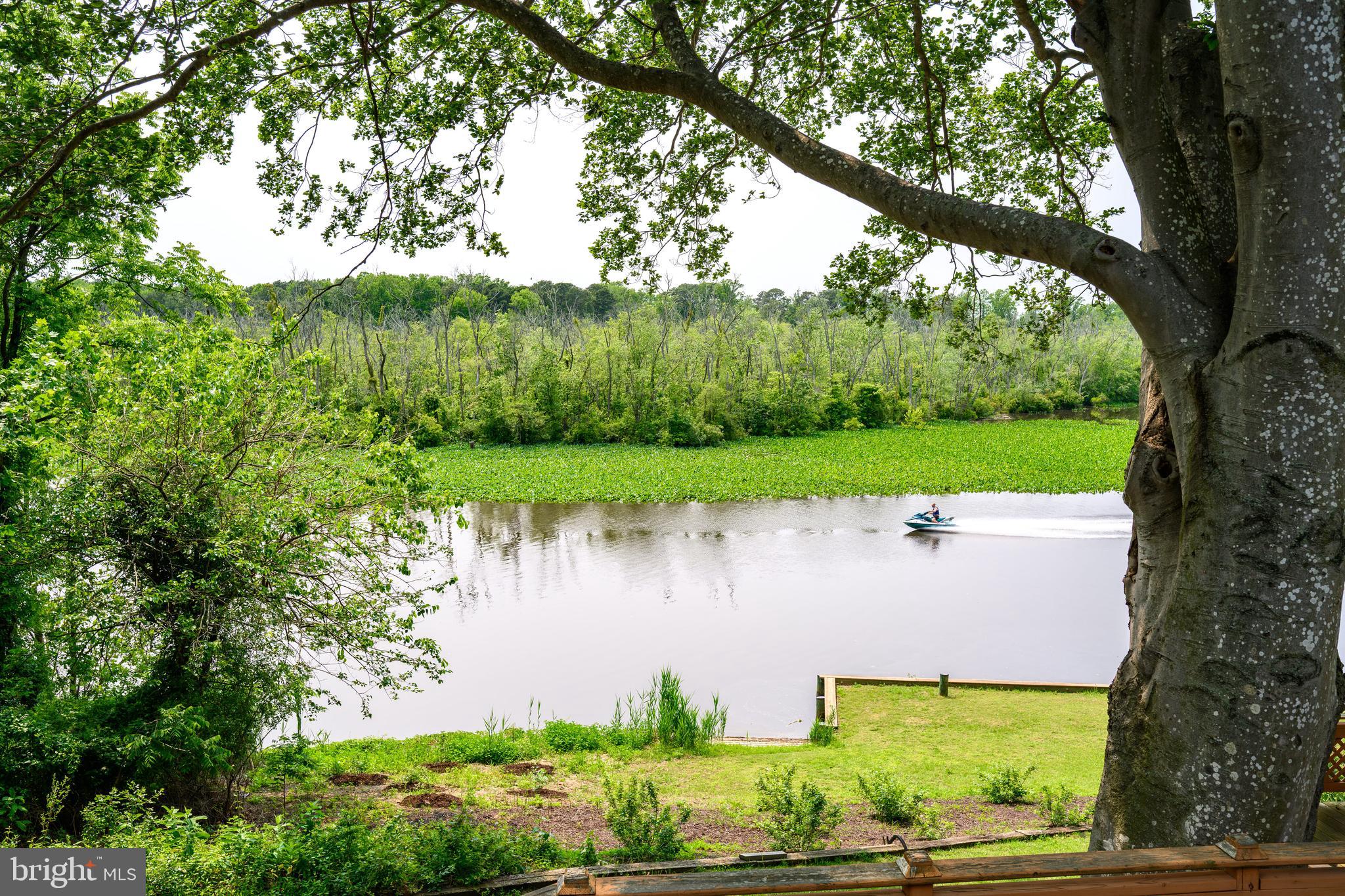 25292 Sandy Point Road Greensboro, MD 21639 - Photo 60 of 65 view of Choptank River from deck