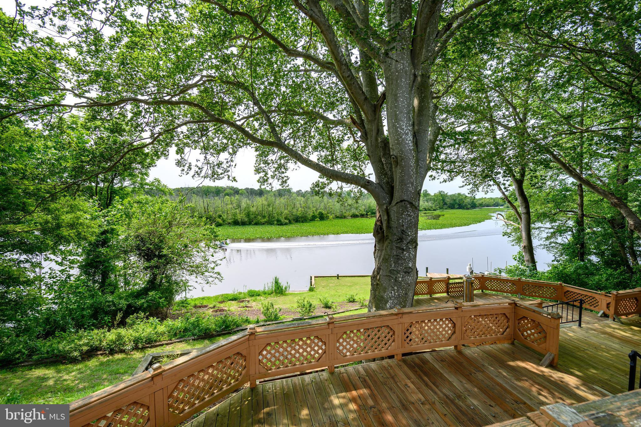 25292 Sandy Point Road Greensboro, MD 21639 - Photo 6 of 65 Lower deck view of the Choptank