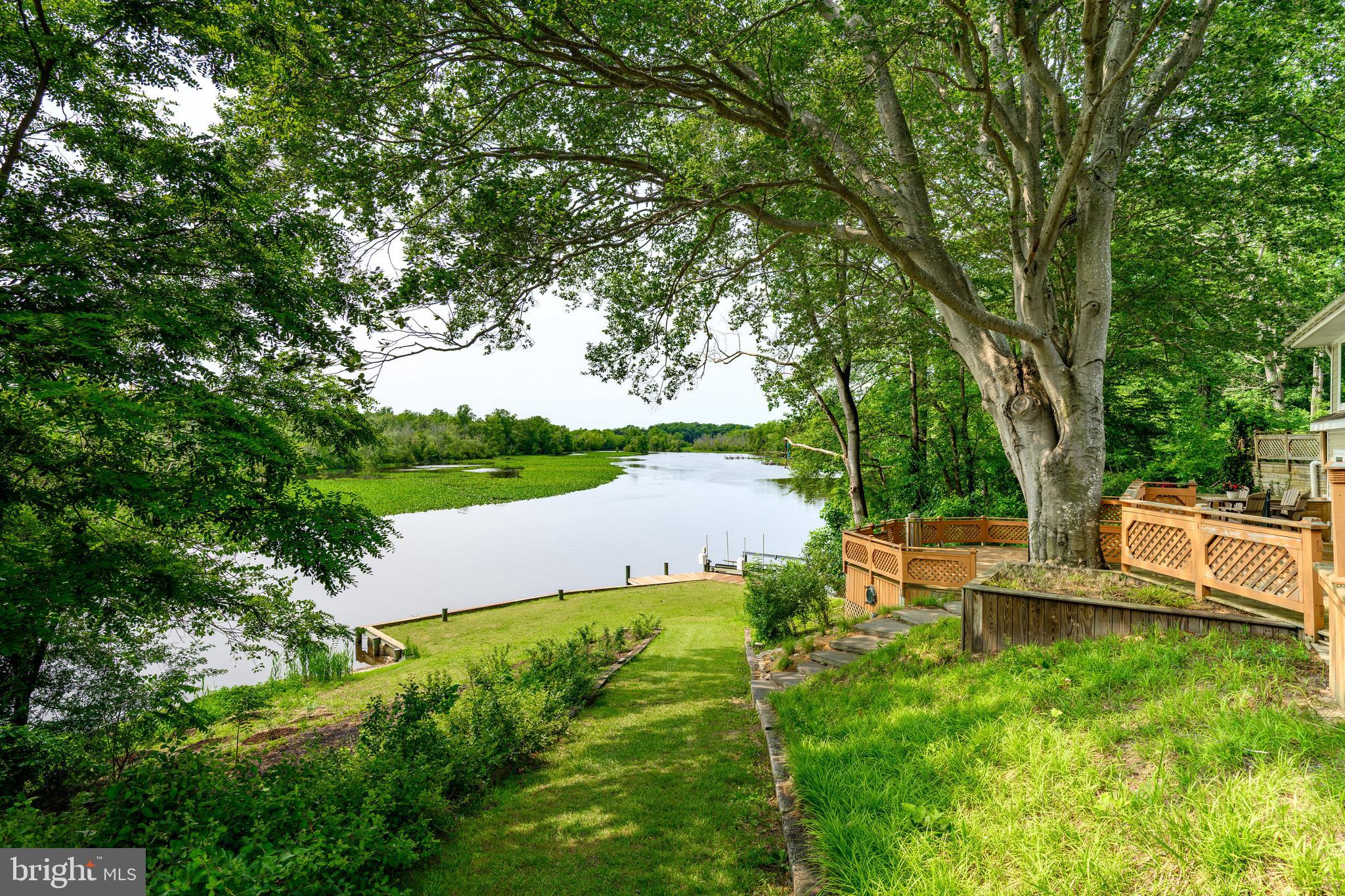 25292 Sandy Point Road Greensboro, MD 21639 - Photo 62 of 65 Cart path to pier