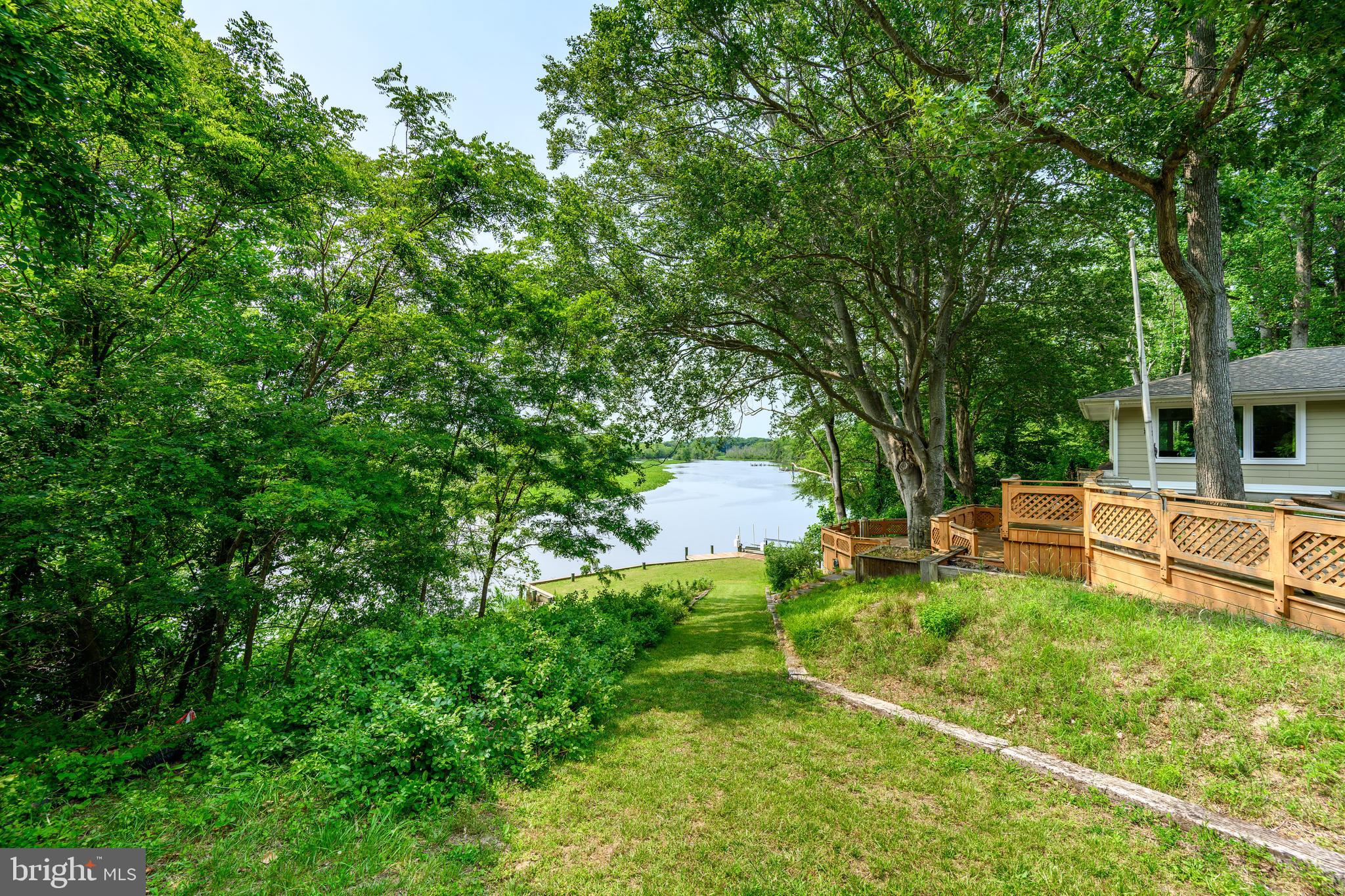 25292 Sandy Point Road Greensboro, MD 21639 - Photo 63 of 65 cart path to pier