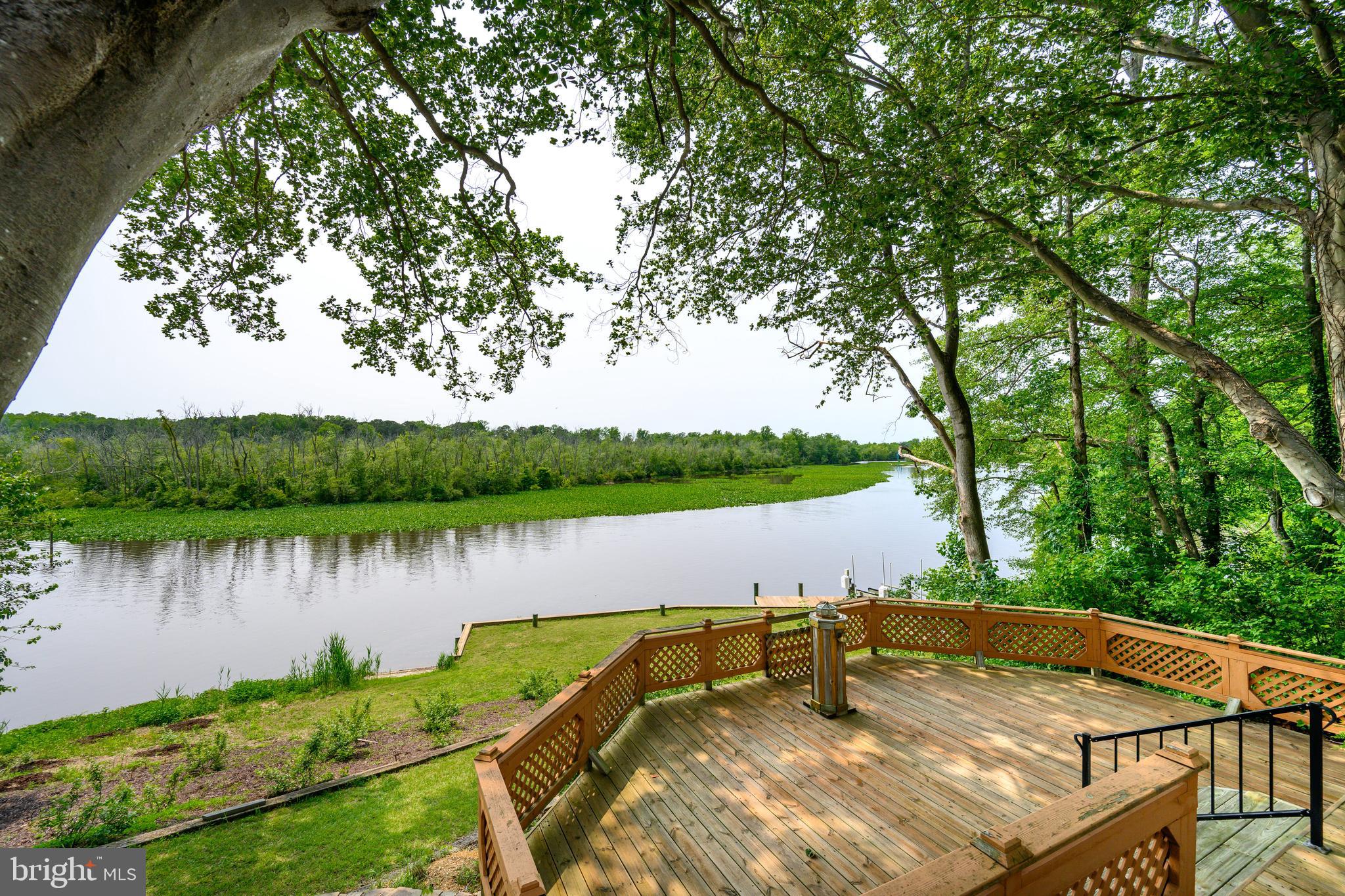 25292 Sandy Point Road Greensboro, MD 21639 - Photo 8 of 65 Rive view from lower deck
