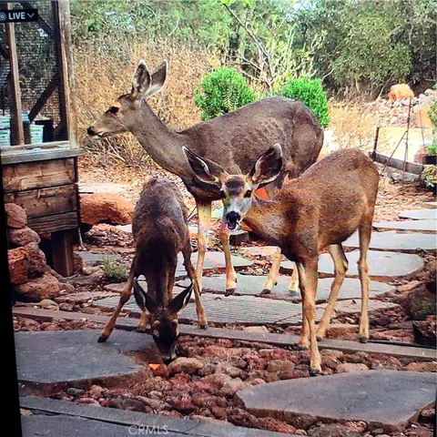 $449,500 | 39280 Redonda Mesa Road, Murrieta, CA 92562