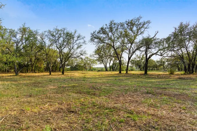 a big yard with trees