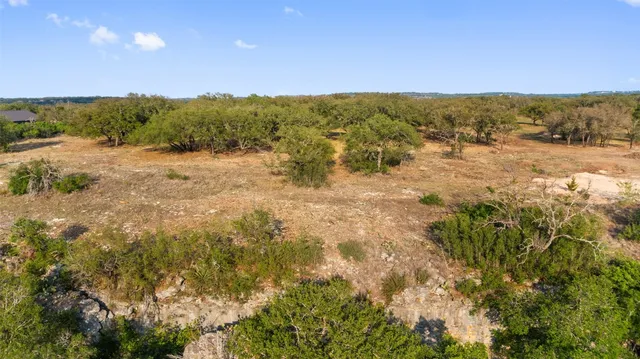 a view of a city with lush green forest