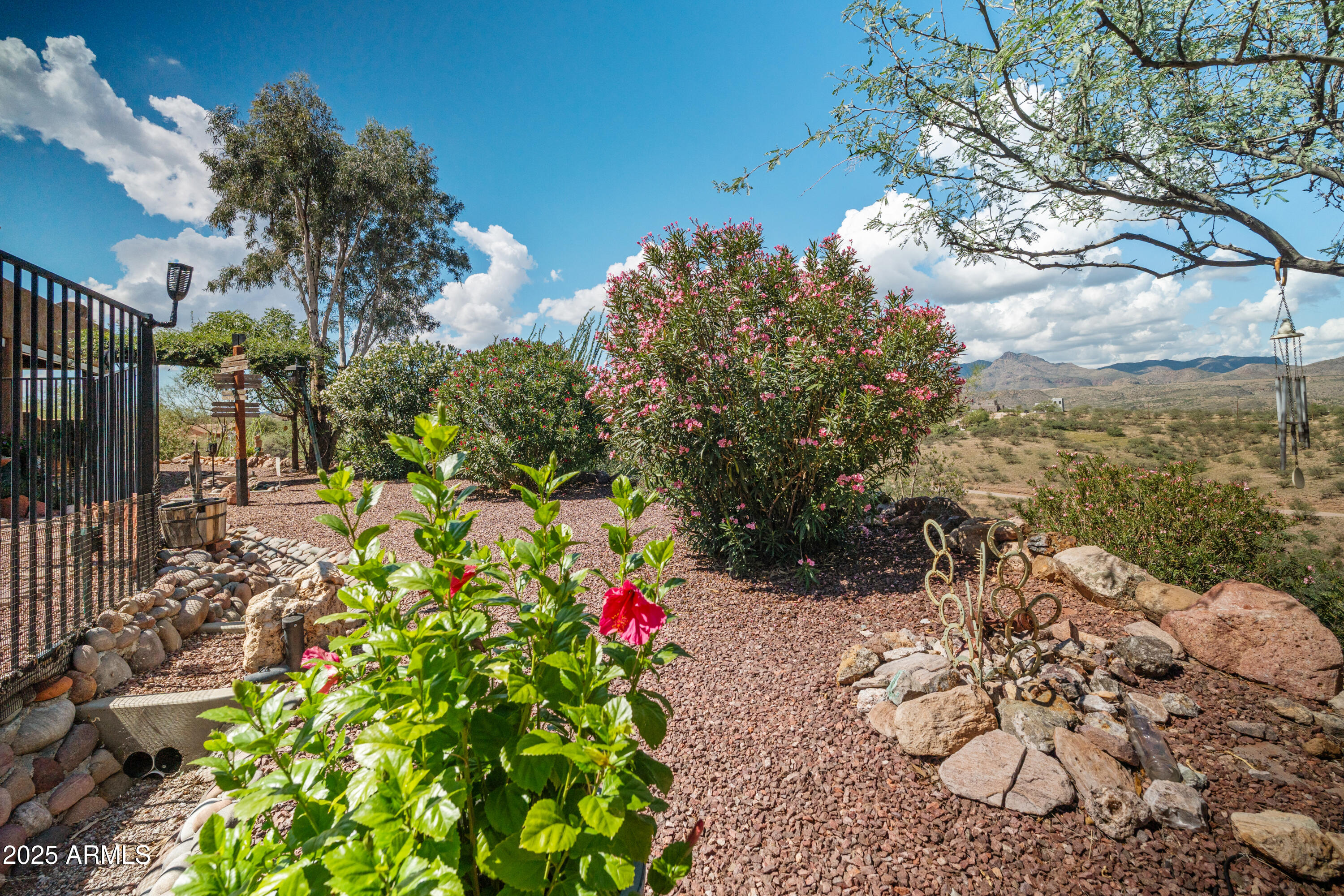 608 Paseo Reforma Rio Rico, AZ 85648 - Photo 33 of 50 a picture of flowers