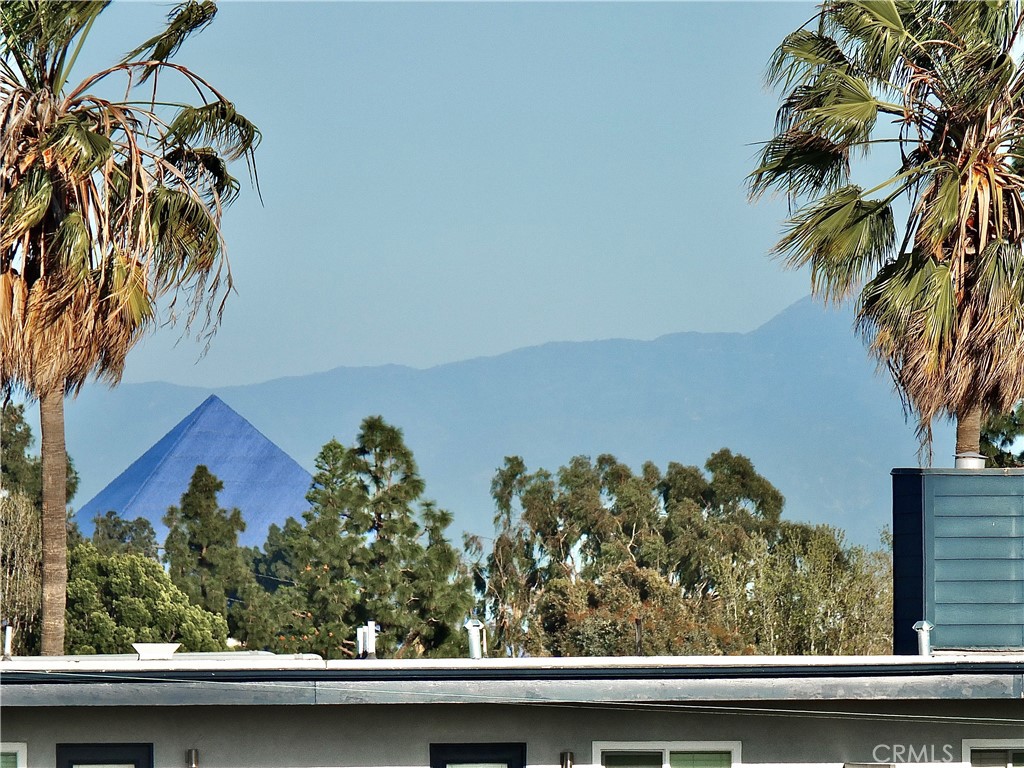1770 Ximeno Avenue, Unit 314 Long Beach, CA 90815 - Photo 25 of 37 a view of a window and a tree