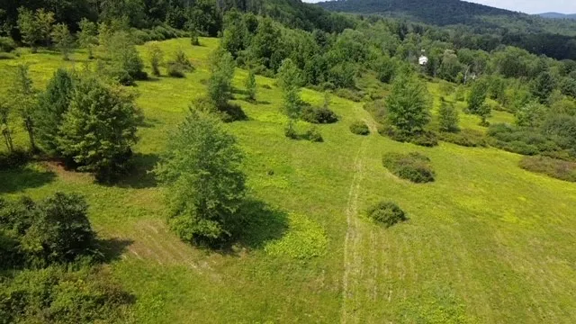 $189,900 | 0 Tyler Street, Bainbridge, NY 13733