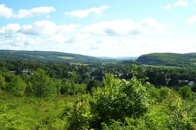 $189,900 | 0 Tyler Street, Bainbridge, NY 13733