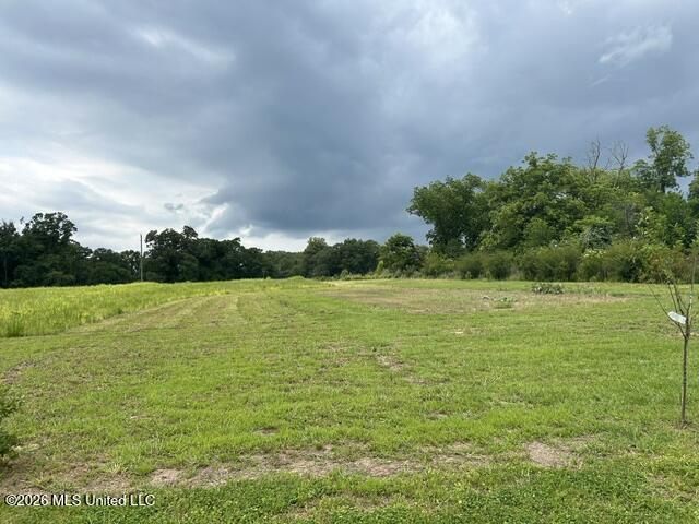 2096 Swilley Road Wesson, MS 39191 - Photo 60 of 86 IMG_4320