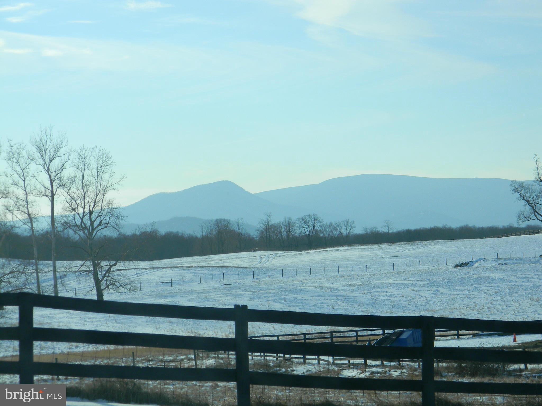 0 Leeds Manor Road Marshall, VA 20115 - Photo 18 of 22 View Driving Through Town