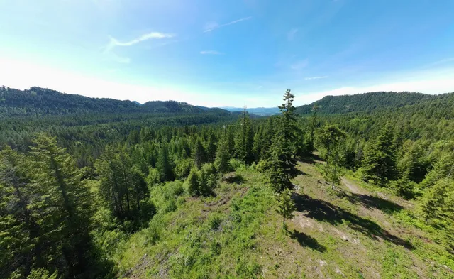 $390,000 | 1261 Outback Lane, Usk, WA 99180