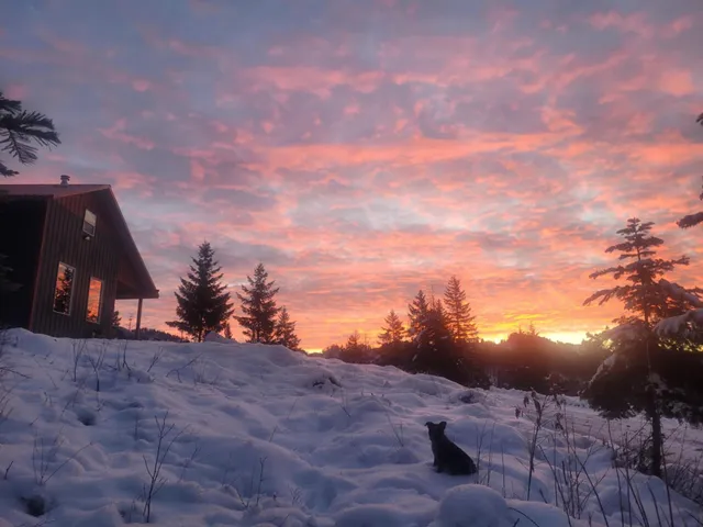 $390,000 | 1261 Outback Lane, Usk, WA 99180