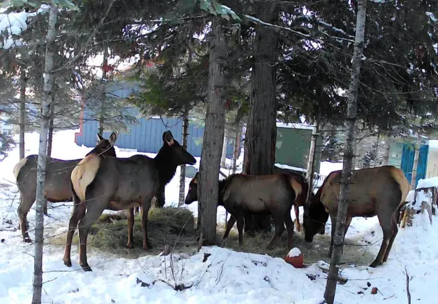 $390,000 | 1261 Outback Lane, Usk, WA 99180