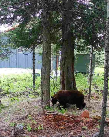 $390,000 | 1261 Outback Lane, Usk, WA 99180