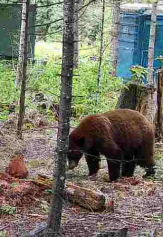 $390,000 | 1261 Outback Lane, Usk, WA 99180