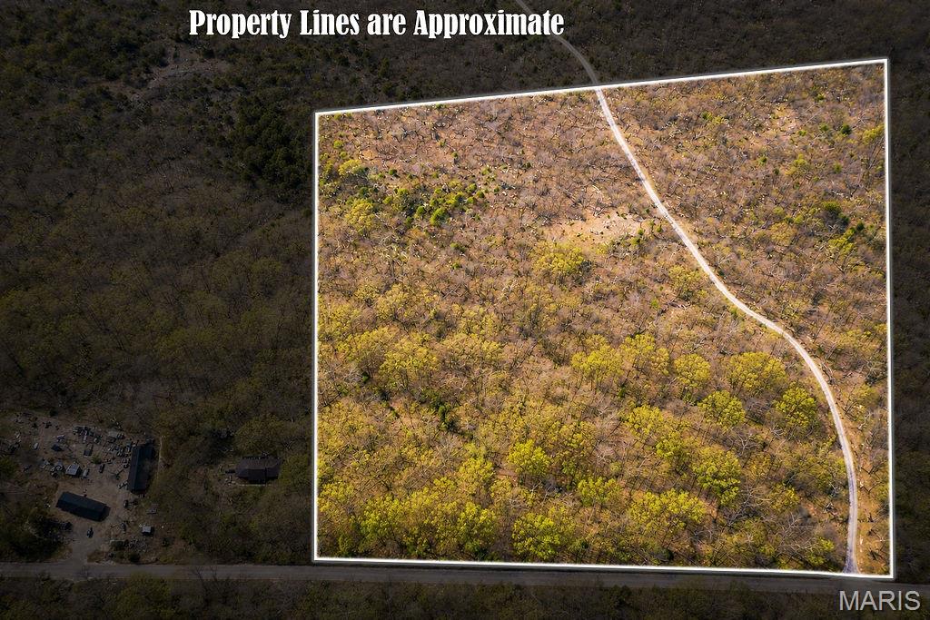 0 Buck Mountain Road Ironton, MO 63650 - Photo 3 of 5