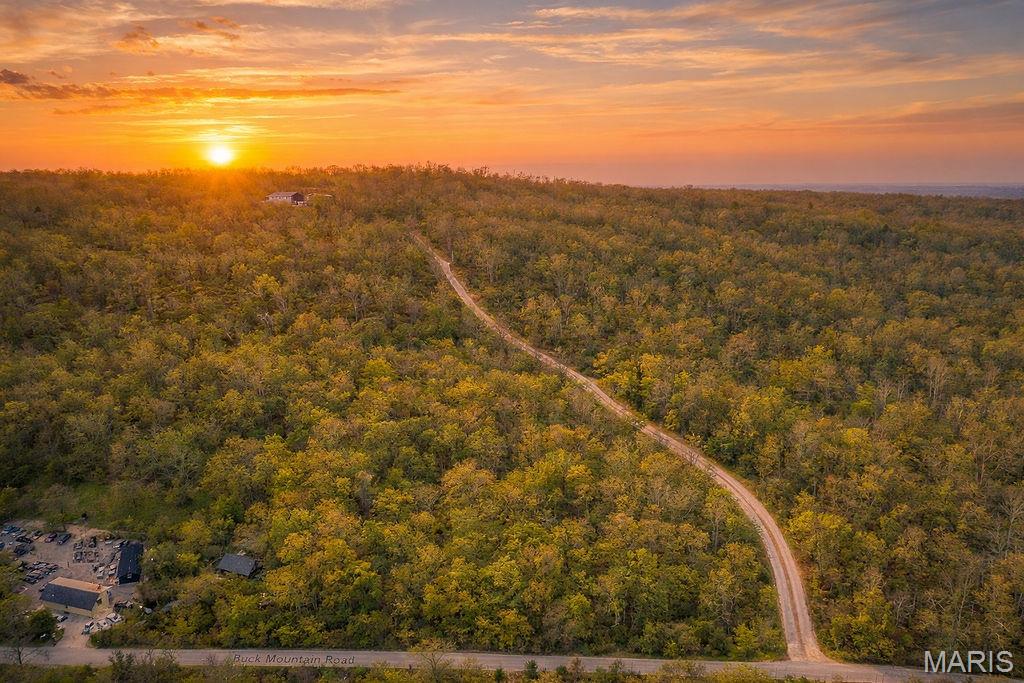 0 Buck Mountain Road Ironton, MO 63650 - Photo 5 of 5