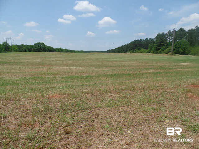 500 County Road 462 Kinston, AL 36453 - Photo 4 of 25