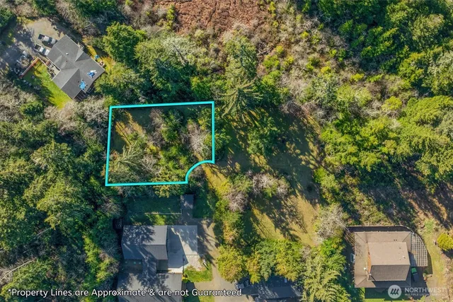 an aerial view of residential house with outdoor space and trees around