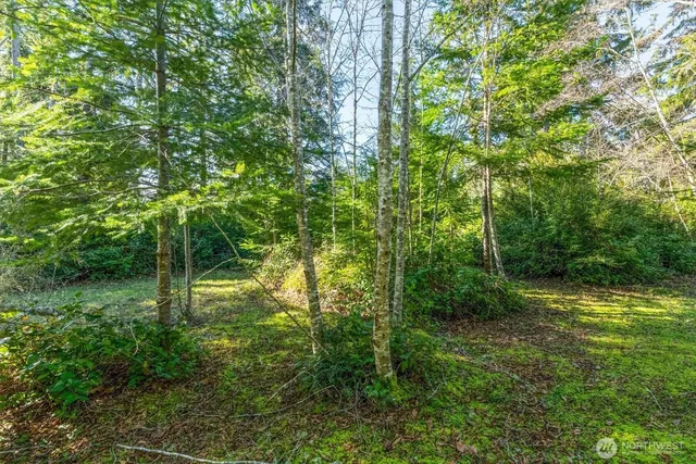 a big yard with lots of green space and trees