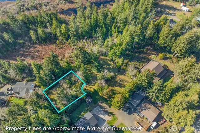 an aerial view of residential house with outdoor space and trees all around