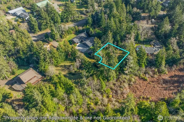 an aerial view of residential house with outdoor space and trees all around