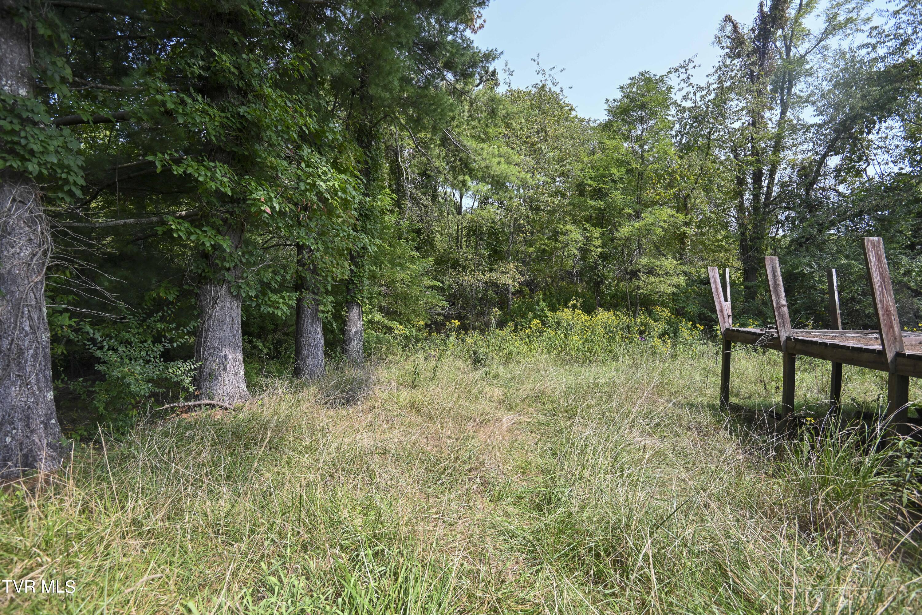 6161 DC Caney Ridge Road Coeburn, VA 24230 - Photo 3 of 20 dcc_0045