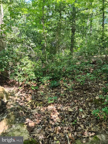 a view of a lush green field