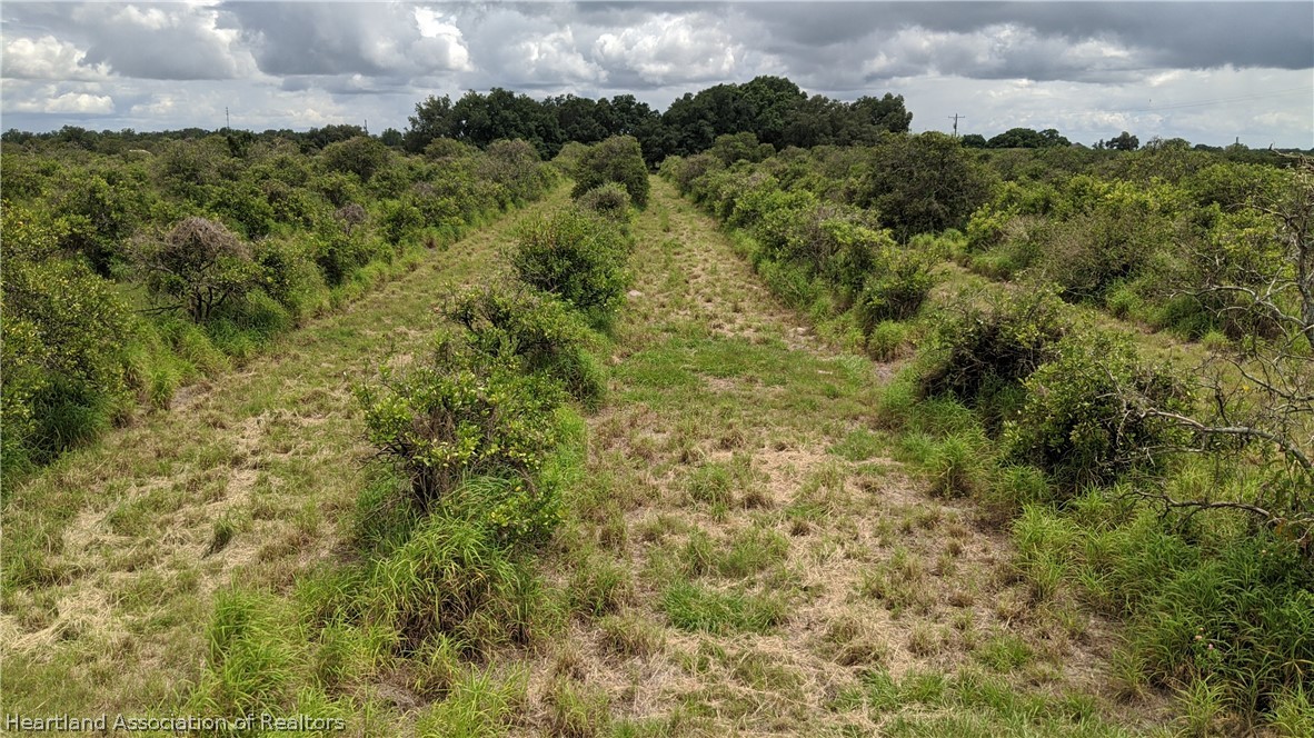 820 Maude Road Wauchula, FL 33873 - Photo 1 of 35 Gallery Image 1