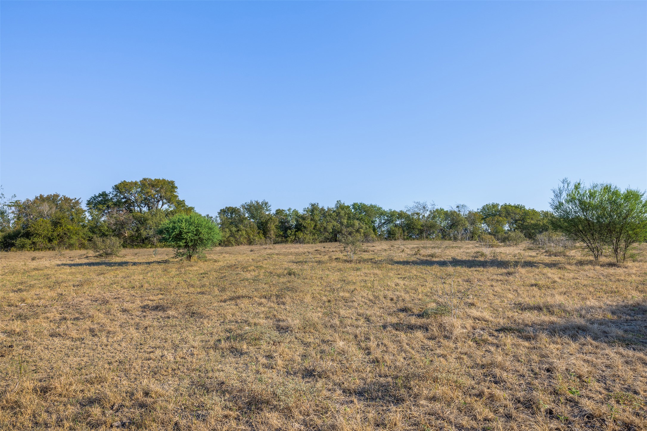 217 Robin Ranch Road Lockhart, TX 78644 - Photo 11 of 15 View of nature featuring rural landscape