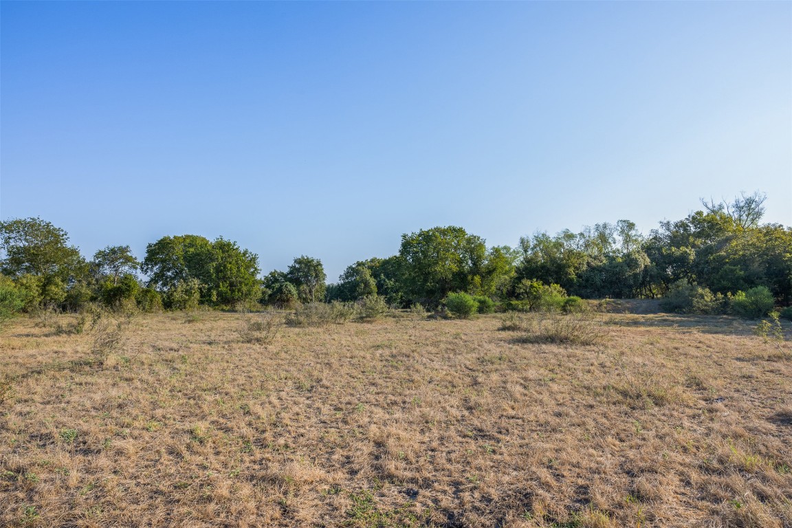 217 Robin Ranch Road Lockhart, TX 78644 - Photo 12 of 15 a view of a field with trees in background
