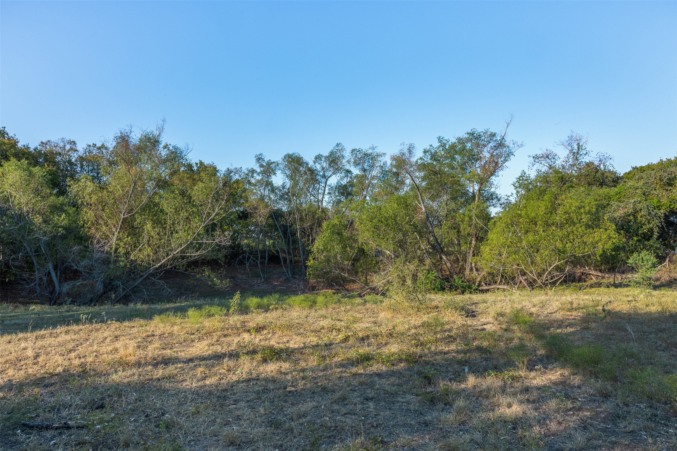 217 Robin Ranch Road Lockhart, TX 78644 - Photo 13 of 15 View of undeveloped land