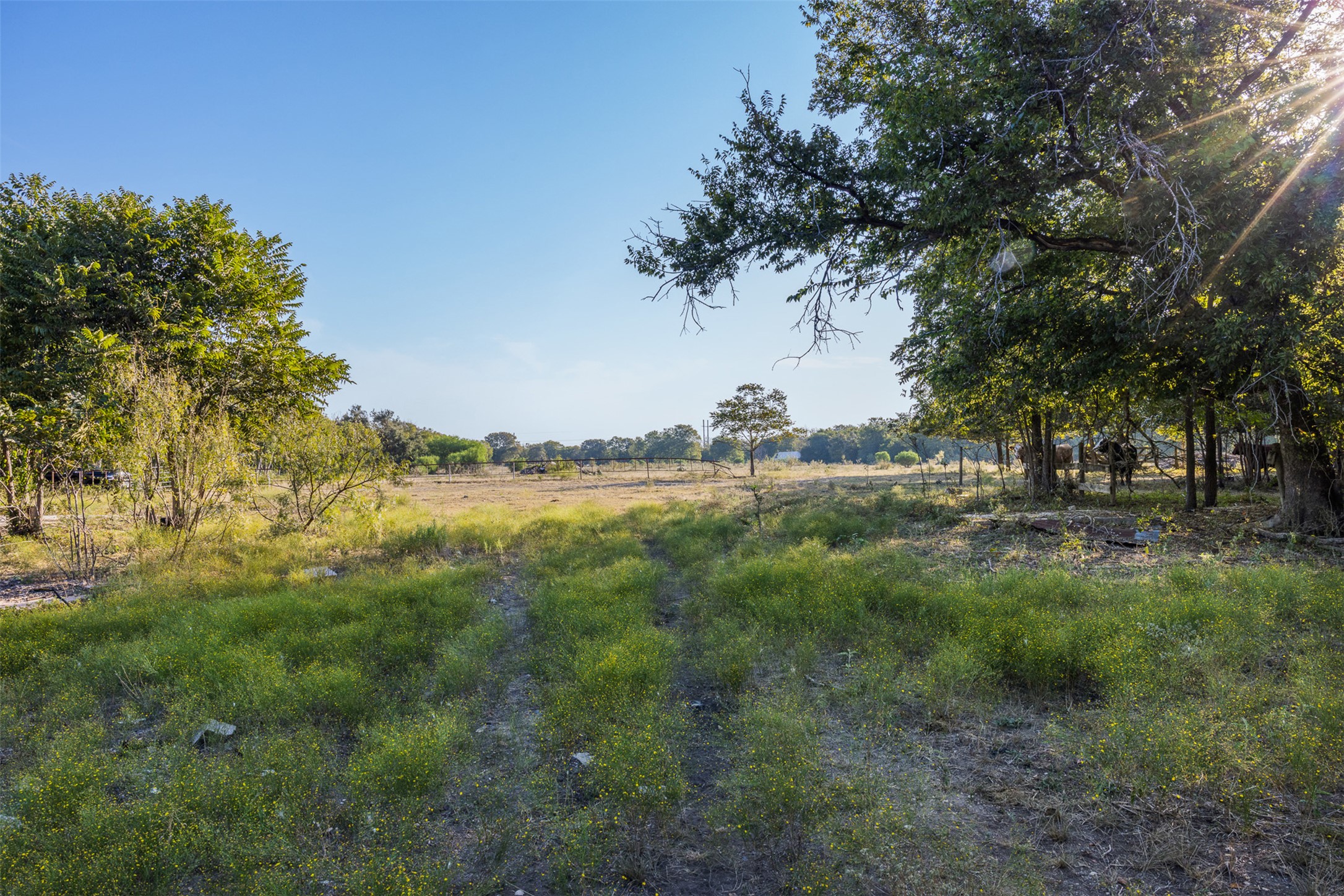 217 Robin Ranch Road Lockhart, TX 78644 - Photo 3 of 15 View of local wilderness with rural landscape
