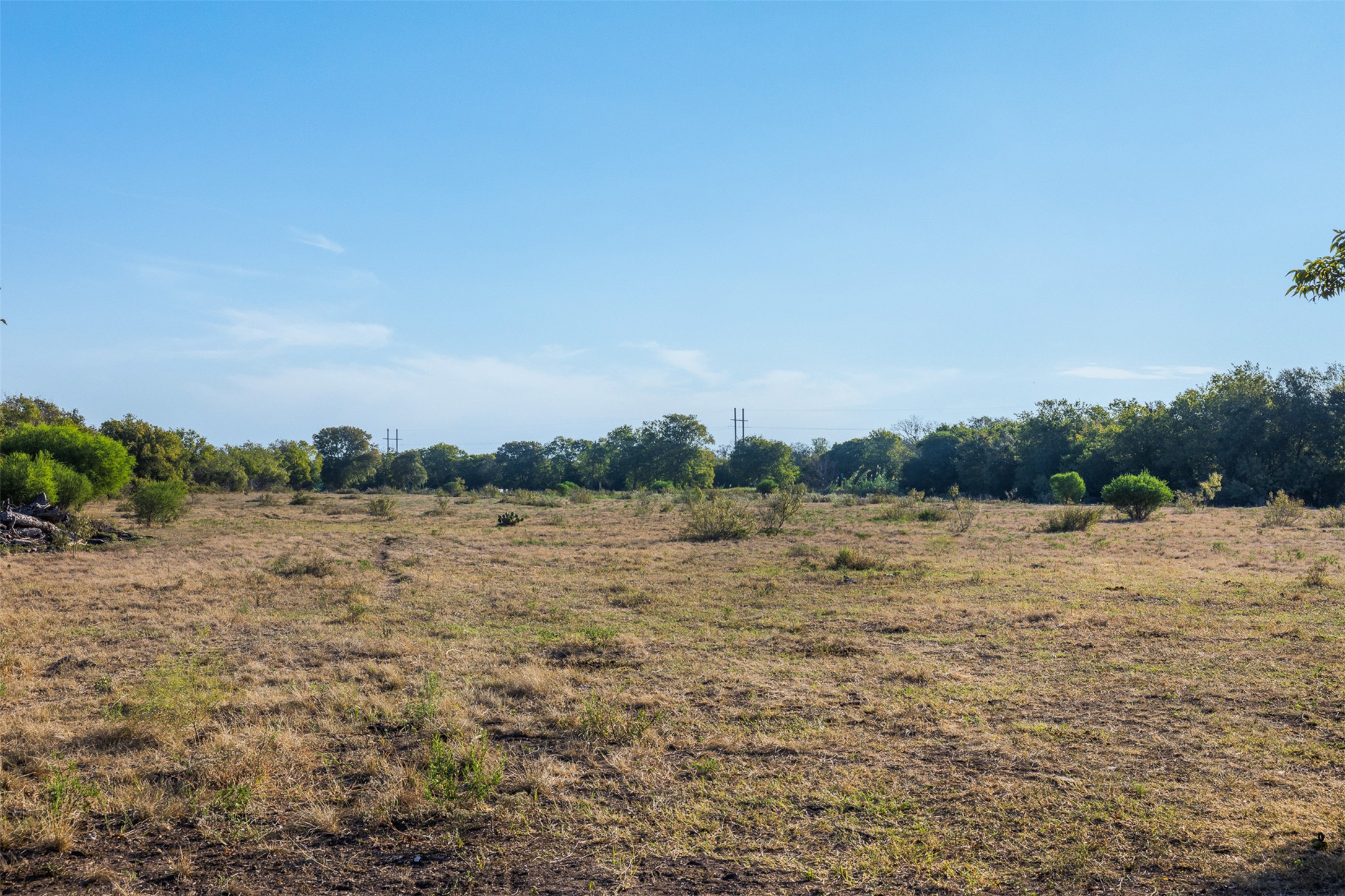 217 Robin Ranch Road Lockhart, TX 78644 - Photo 9 of 15 View of local wilderness featuring rural landscape