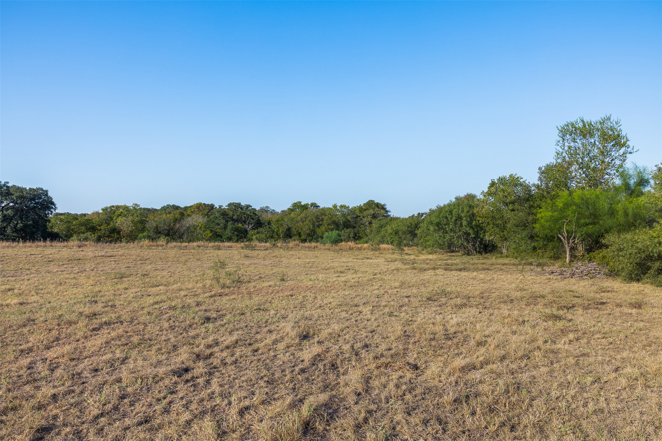 217 Robin Ranch Road Lockhart, TX 78644 - Photo 10 of 15 View of local wilderness with rural landscape