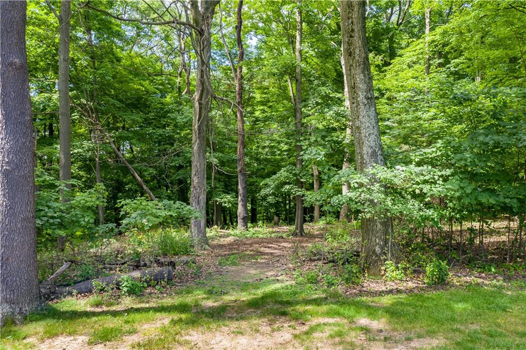 121 Sylvania Drive Pittsburgh, PA 15236 - Photo 25 of 25 WOODED AREA OF THE BACK YARD.