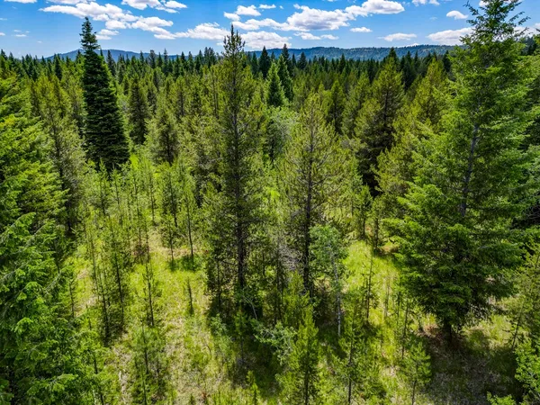$242,000 | 0 Thunderbolt Place, Unit 67, McCall, ID 83638