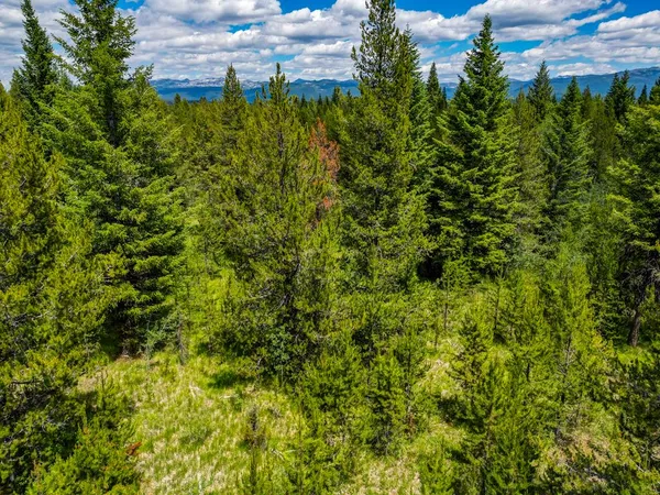 $242,000 | 0 Thunderbolt Place, Unit 67, McCall, ID 83638