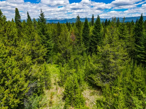 $242,000 | 0 Thunderbolt Place, Unit 67, McCall, ID 83638