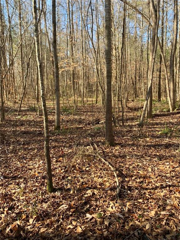 2467 Shady Grove Road Carrollton, GA 30116 - Photo 16 of 16