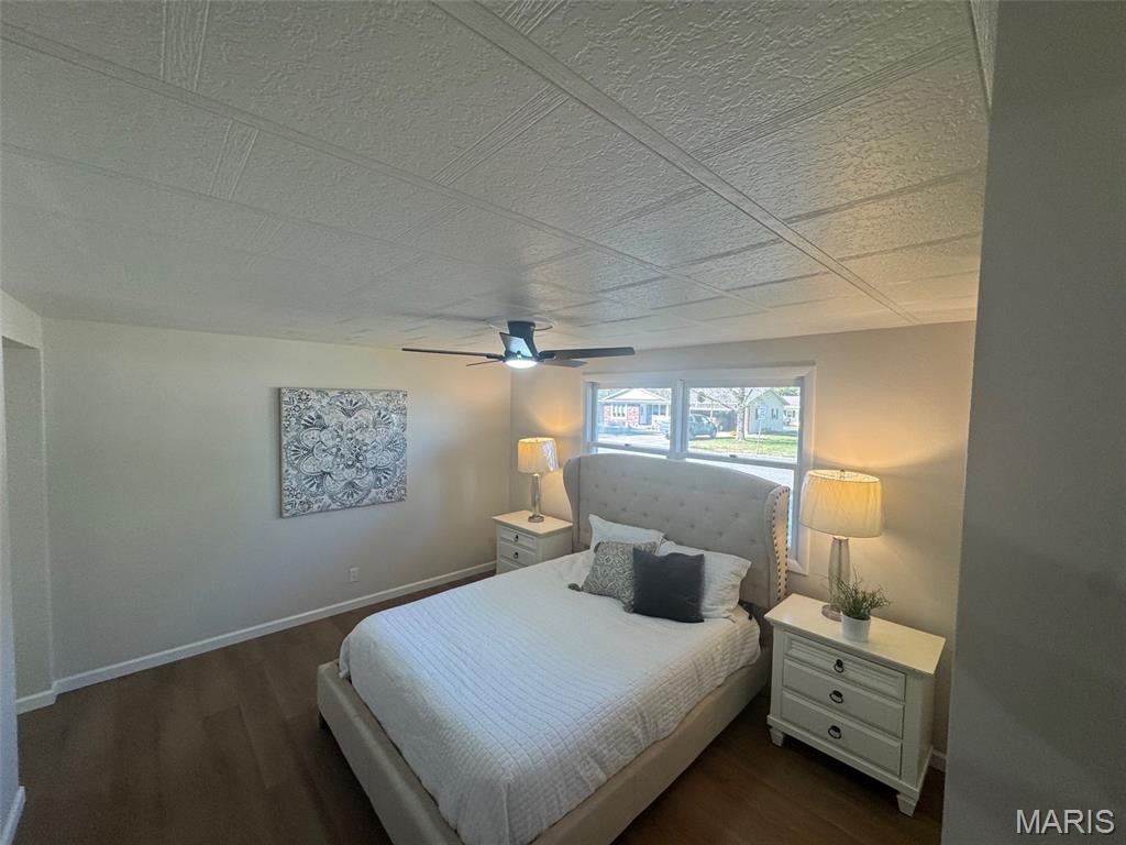 102 Debra Drive Albers, IL 62215 - Photo 6 of 23