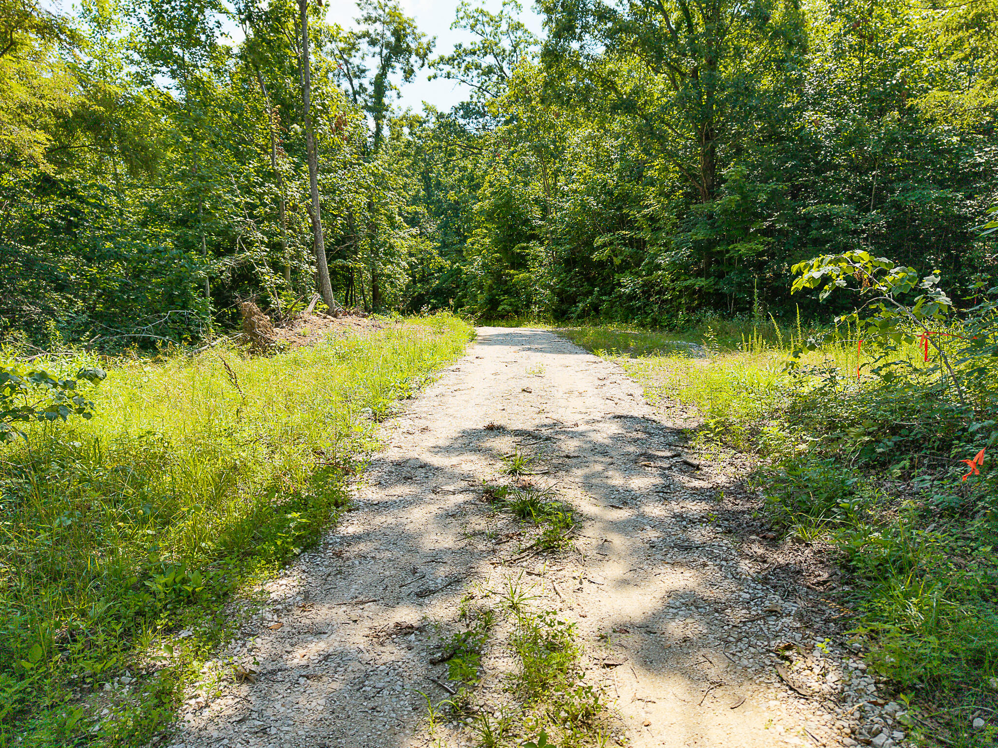 700 Clay Camp Road Hitchins, KY 41146 - Photo 12 of 108 7 Mile Rd