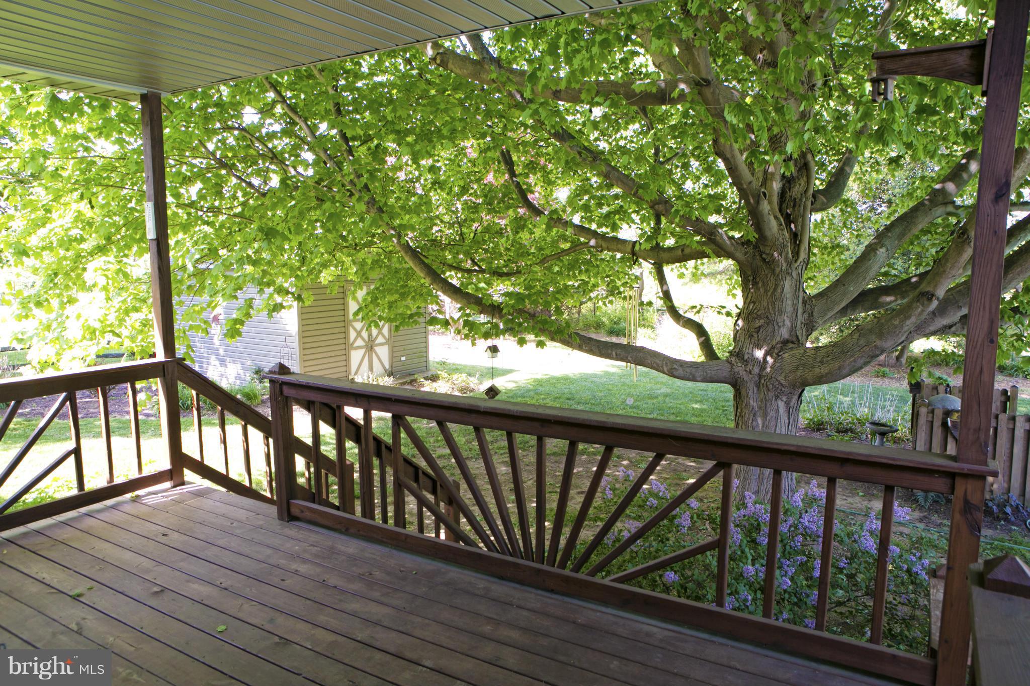 285 Harrisville Road Colora, MD 21917 - Photo 17 of 29 Exterior (Rear)