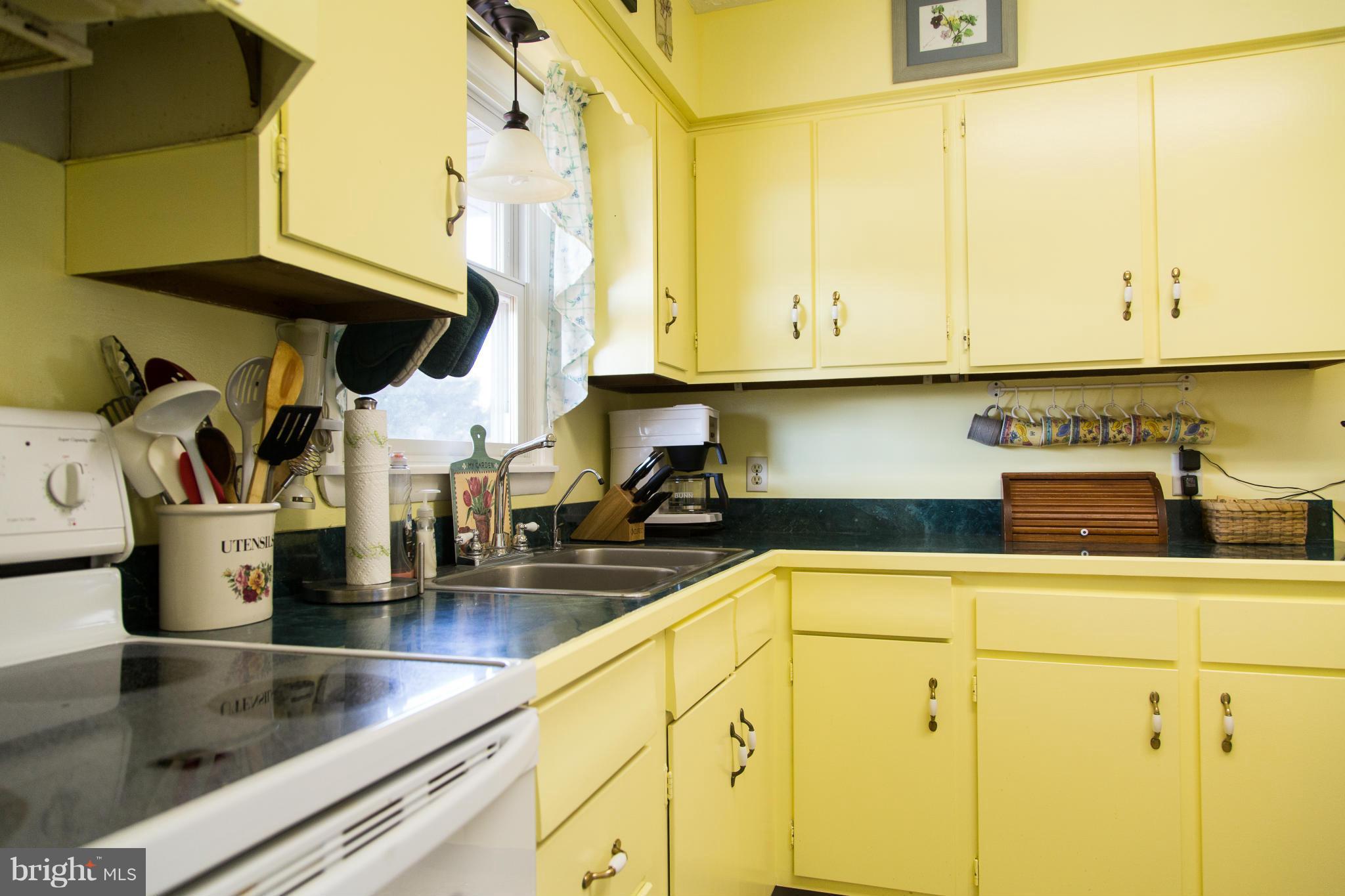285 Harrisville Road Colora, MD 21917 - Photo 9 of 29 Kitchen