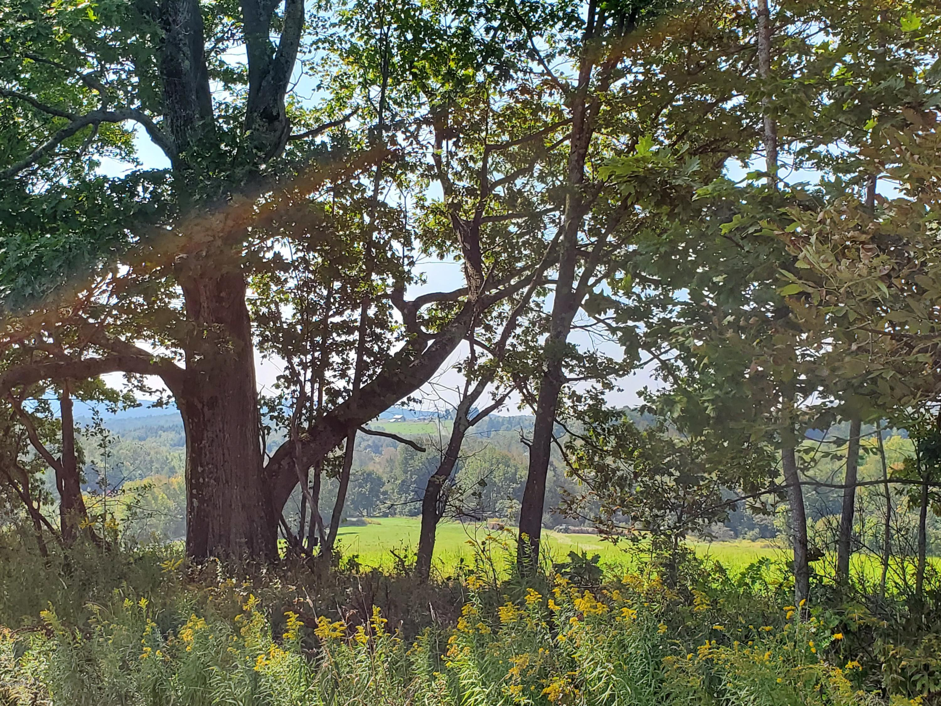 South Preston Road Lakewood, PA 18439 - Photo 6 of 16