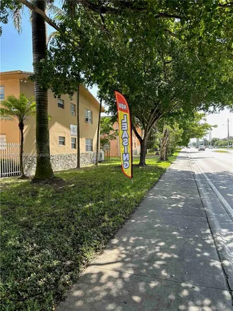 a view of a park with large trees